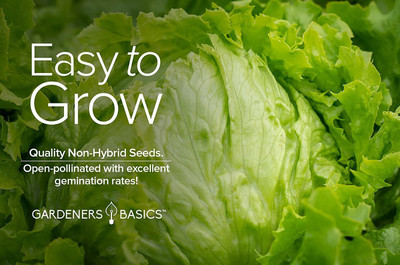 VibeX XLL-18 - Iceberg Lettuce - (150 Seeds) Seed(150 per packet)