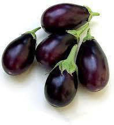 THAMMAR VNR Brinjal,NAVINA HYBRIDE Seed Seed(10 per packet)