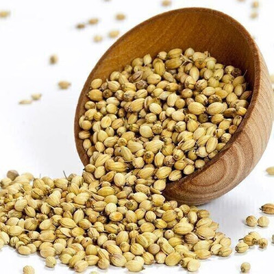 kotaliya Dhaniya Seed(750 per packet)