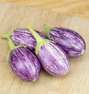 Qualtivate PUAS-9A High Yield Rare Brinjal Oval Seed(300 per packet)