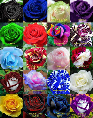 LPR FLOWER MIX Seed(5 per packet)