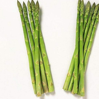 CYBEXIS Delicious Vegetable Home Plant - Asparagus Seeds400 Seeds Seed(400 per packet)