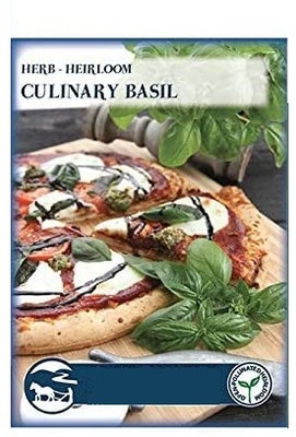 KNESSiN Basil Seed(1250 per packet)