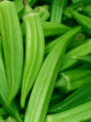 VibeX GUA-83 - Okra GMO Free Spineless - Seed(1350 per packet)