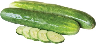 Qualtivate PUA5-A Beauty Slicing Cucumber Seeds Seed(300 per packet)