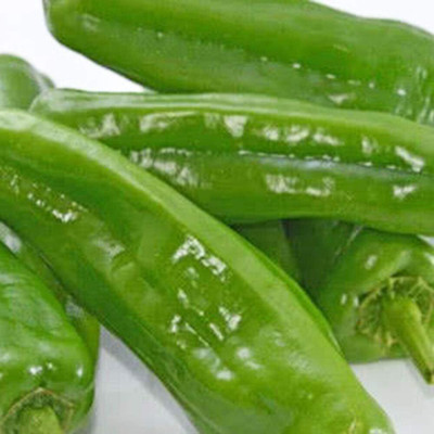 KNESSiN Chilli Pepper Seed(1250 per packet)