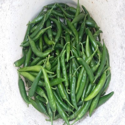 Farmonix High Quality Green Chilli हरी मिर्च Seed(300 per packet)