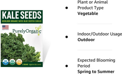 WILLVINE HAR -II Kale Seeds Vates Blue Scotch Curled [50g] Seed(15000 per packet)