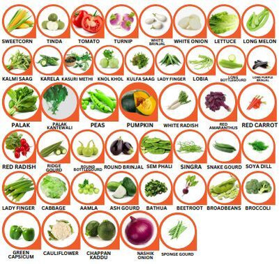 Hothanger Vegetable Seed Seed(100 per packet)