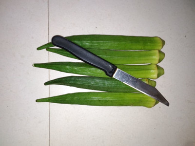 Quentova QT-AJ-11Y-Okra Lady Finger /Green Okra Seeds Seed(250 per packet)