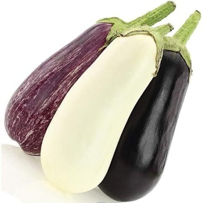 Qualtivate ICRA-8A Eggplant Aubergine Long Mix Brinjal Seed(300 per packet)