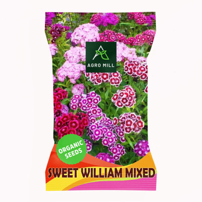AGRO MILL SWEET WILLIAM/DIANTHUS BARBATUS MULTIFLORA MIXED PREMIUM QUALITY FLOWER Seed(30 per packet)