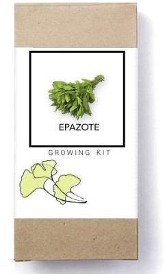 Biosnyg Mexican-Tea Herb Seeds Epazote-[1000 Seeds] Seed(1000 per packet)