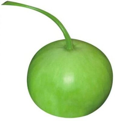 Qualtivate HYB-6A Bottle Gourd Round Seeds Seed(50 per packet)