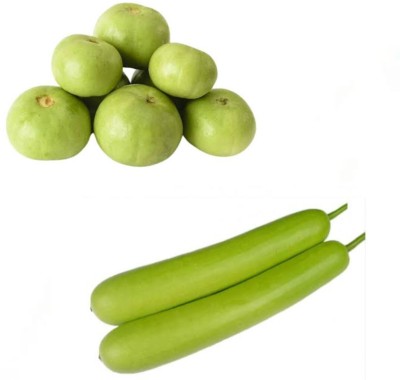 Garden Basket Hubb Tinda (apple Gourd) bottle gourd(Loki) Seed(100 g)