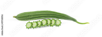 Paudhaa FI QUALITY RIDGE GOURD Seed(18 per packet)