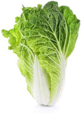 Aywal Chinese Cabbage, Pak Choi, Joi Choi Hybrid Seed(45 per packet)