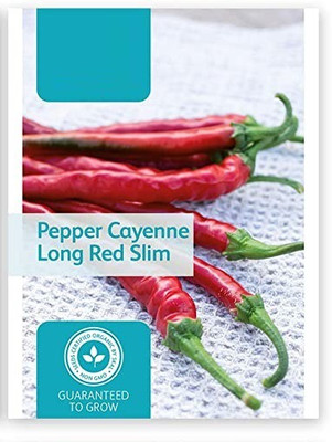 CYBEXIS Cayenne Pepper2400 Seeds Seed(2400 per packet)