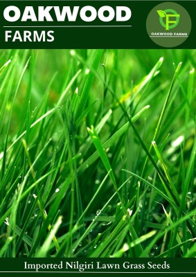 Oakwood Farms Imported Nilgiri Lawn Grass Seeds For Playground &, Lawn Seed(500 g)