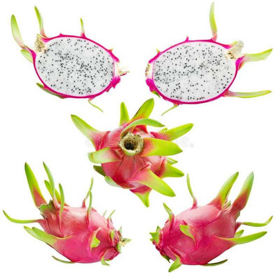 Oliver dragon fruit seeds Seed(140 per packet)