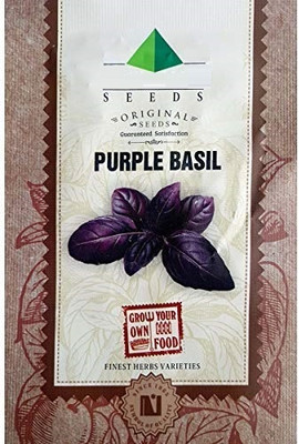 CYBEXIS Purple Basil Herb Seeds4000 Seeds Seed(4000 per packet)