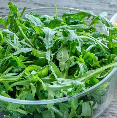 CYBEXIS XL-63 - Arugula (Eruca Sativa) - (750 Seeds) Seed(750 per packet)