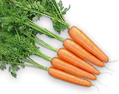 Qualtivate HUA-4A Goldfinger Carrot Seeds Seed(300 per packet)