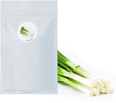 WILLVINE LX-825 Leek/Green Onion Seeds-3000 Seeds Seed(3000 per packet)