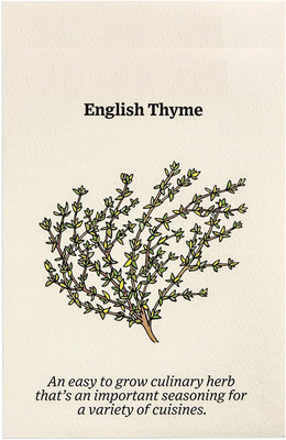 CYBEXIS GBPUT-61 - Common Thyme - (450 Seeds) Seed(450 per packet)
