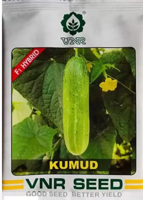 the green dotcom VNR Kheera and cucumbers seed Seed (200 per packet) Seed(20 per packet)