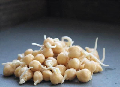CYBEXIS GARBANZO BEAN (Chick pea)800 Seeds Seed(800 per packet)