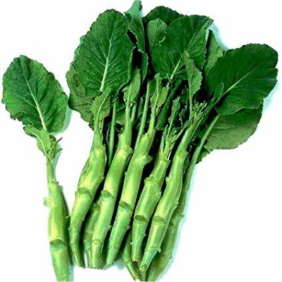 CYBEXIS Chinese Broccoli (Gai-lon)500 Seeds Seed(500 per packet)