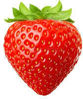 XOLDAA XOLDAA F1quality hybrid strawberry seeds Seed(50 per packet)