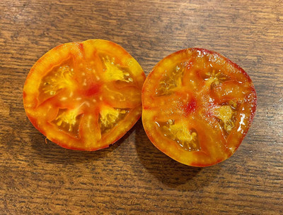 Biosnyg Hybrid Little Lucky Heart Tomato Vegetable Seeds For Gardening - (400 Seeds) Seed(400 per packet)