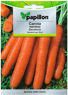 CYBEXIS Seeds Carrot Early Nantes4000 Seeds Seed(4000 per packet)