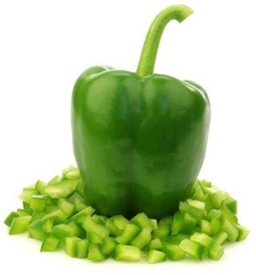 ENINE Hybrid Green Capsicum Shimla Mirch Plant Seeds Bell Paper RF230 Seed(80 per packet)