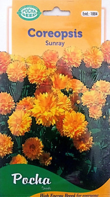 KRASHAK COREOPSIS SUNRAY FLOWER SEED Seed(1 per packet)