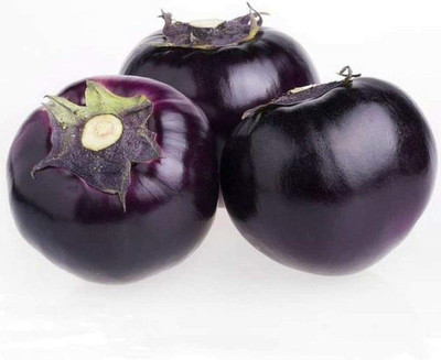 CYBEXIS Brinjal Deep Purple Epidermis Shiny Circular Shape Eggplant Seeds 2400 Seeds Seed(2400 per packet)