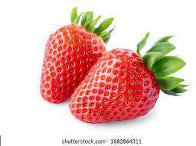 XOLDAA F1 HYBRID best quality strawberry fruit seeds Seed(71 per packet)