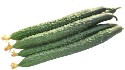 CRGO CUCUMBER , KHEERA Seed(40 per packet)