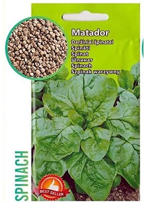 CYBEXIS Imported F1 Hybrid Spinach Seeds4000 Seeds Seed(4000 per packet)