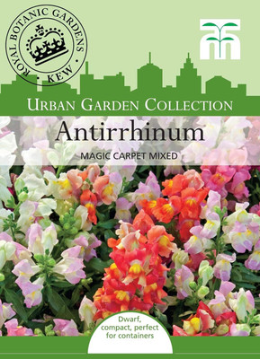 CRGO ANTIRRHINUM Seed(5 per packet)
