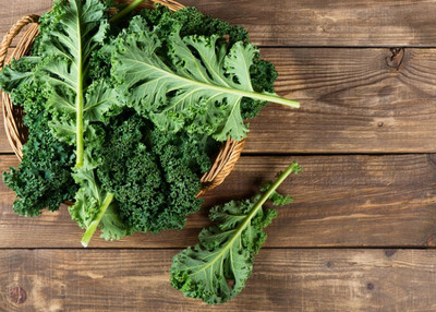 WILLVINE NKR -III Kale Seeds - Blue Curled Scotch/Vates [50g] Seed(15000 per packet)