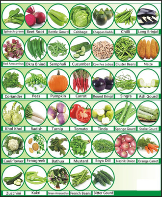 SUAA 40 variety Vegetable seeds Combo pack For Home Garden Seed(2875 per packet)