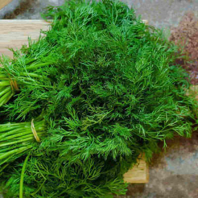 Flipkart SmartBuy Dill Soya Leaf Seed(30 per packet)