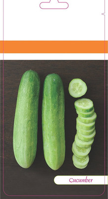 VibeX ® LXI-801 Cucumber F1 Hybrid Seeds Seed(200 per packet)