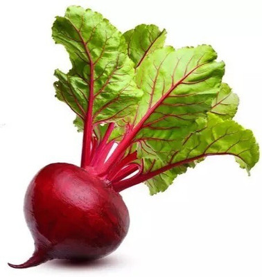 Quentova Beetroot Red Ball-KTL Seed(200 per packet)