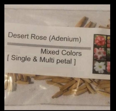 Qualtivate NBIR-726 Mixed Adenium Desert Rose Seeds Seed(30 per packet)