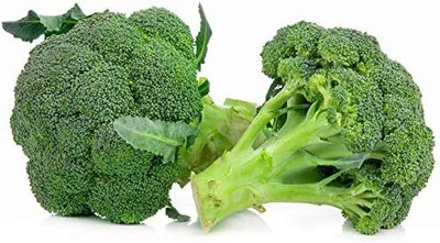 WILLVINE GBPUT -XI Broccoli Seeds | Non-GMO Heirloom [1g] Seed(300 per packet)