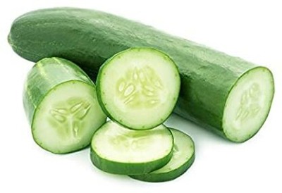 TRICONE Rajni Cucumber Kheera Seeds 320 Beej F5 Seed(320 per packet)